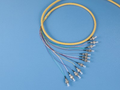 FC 12芯束狀光纖跳線